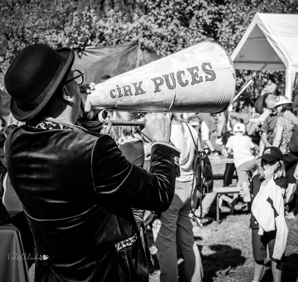 Le Cirk Puces